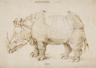 Rhinoceron (1515)