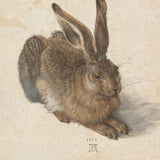 Feldhase (1502)