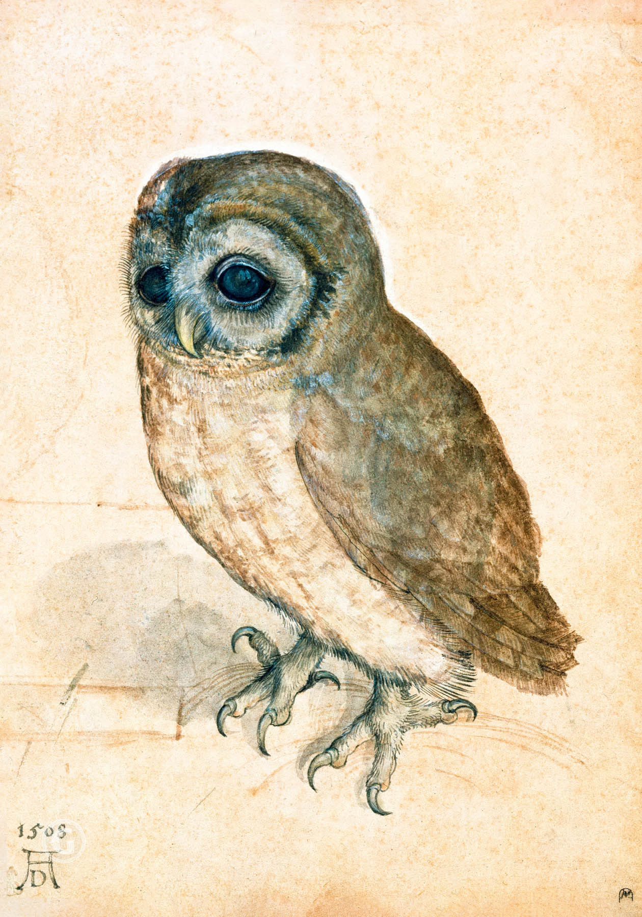 Kleine Eule (1471-1528)