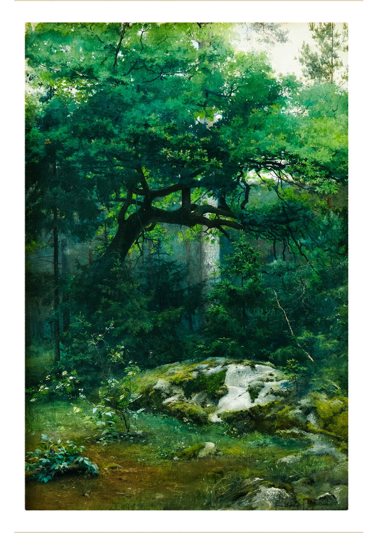 The Glade in Shadow (1864-1935)