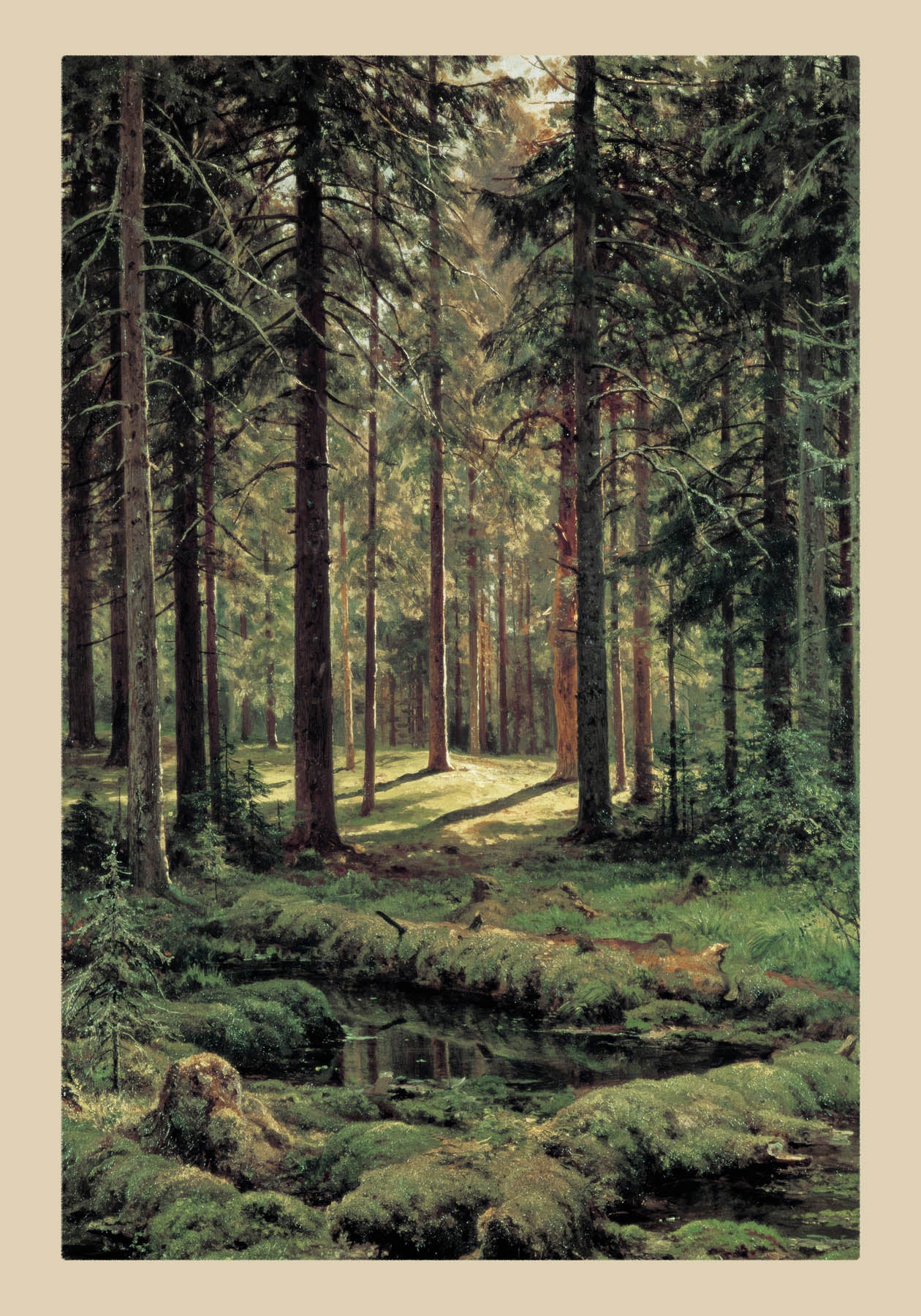 Coniferous Forest, Sunny Day  (1895)
