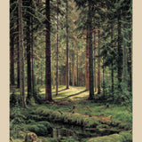 Coniferous Forest, Sunny Day  (1895)