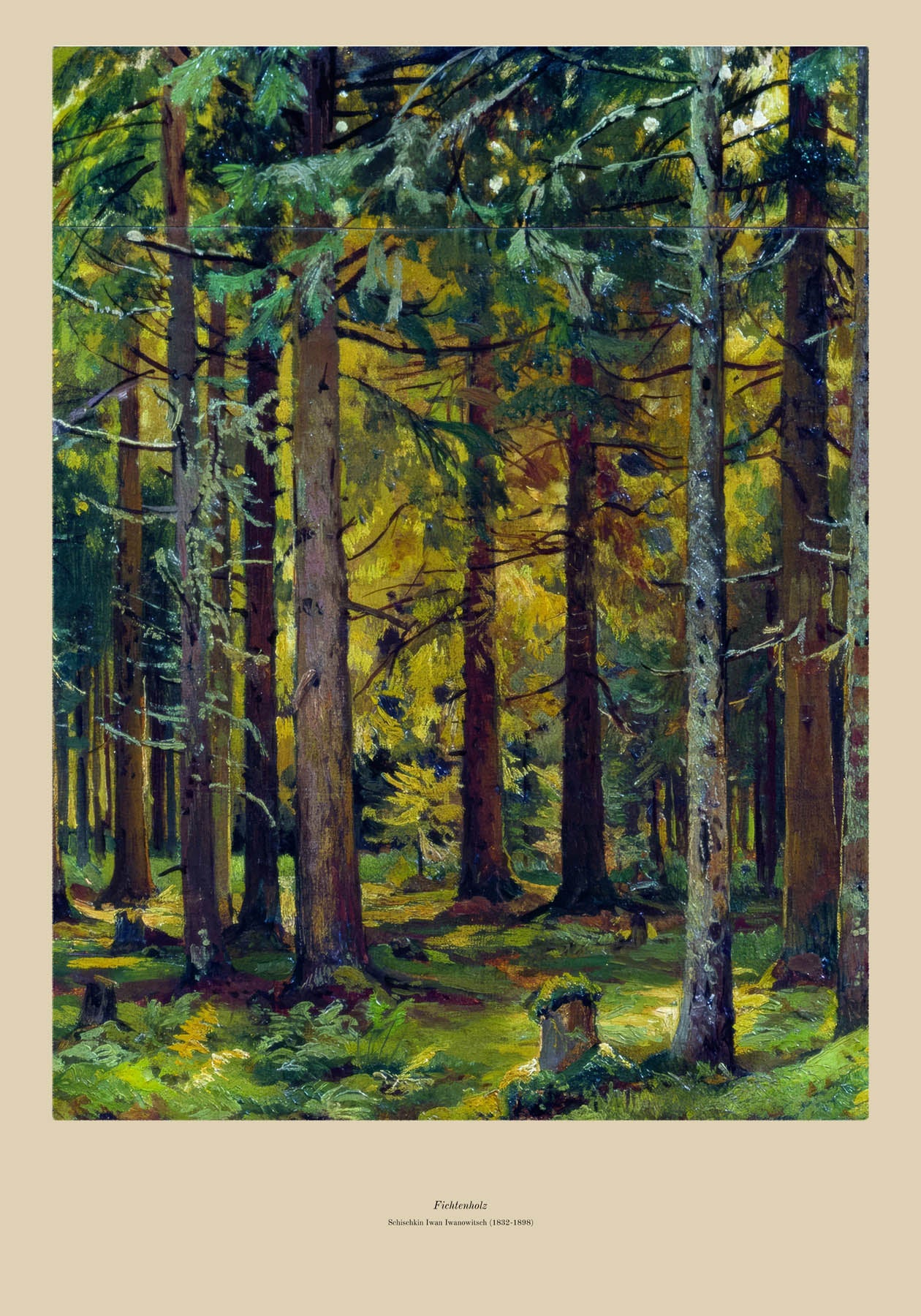 Fichtenholz (1832-1898)