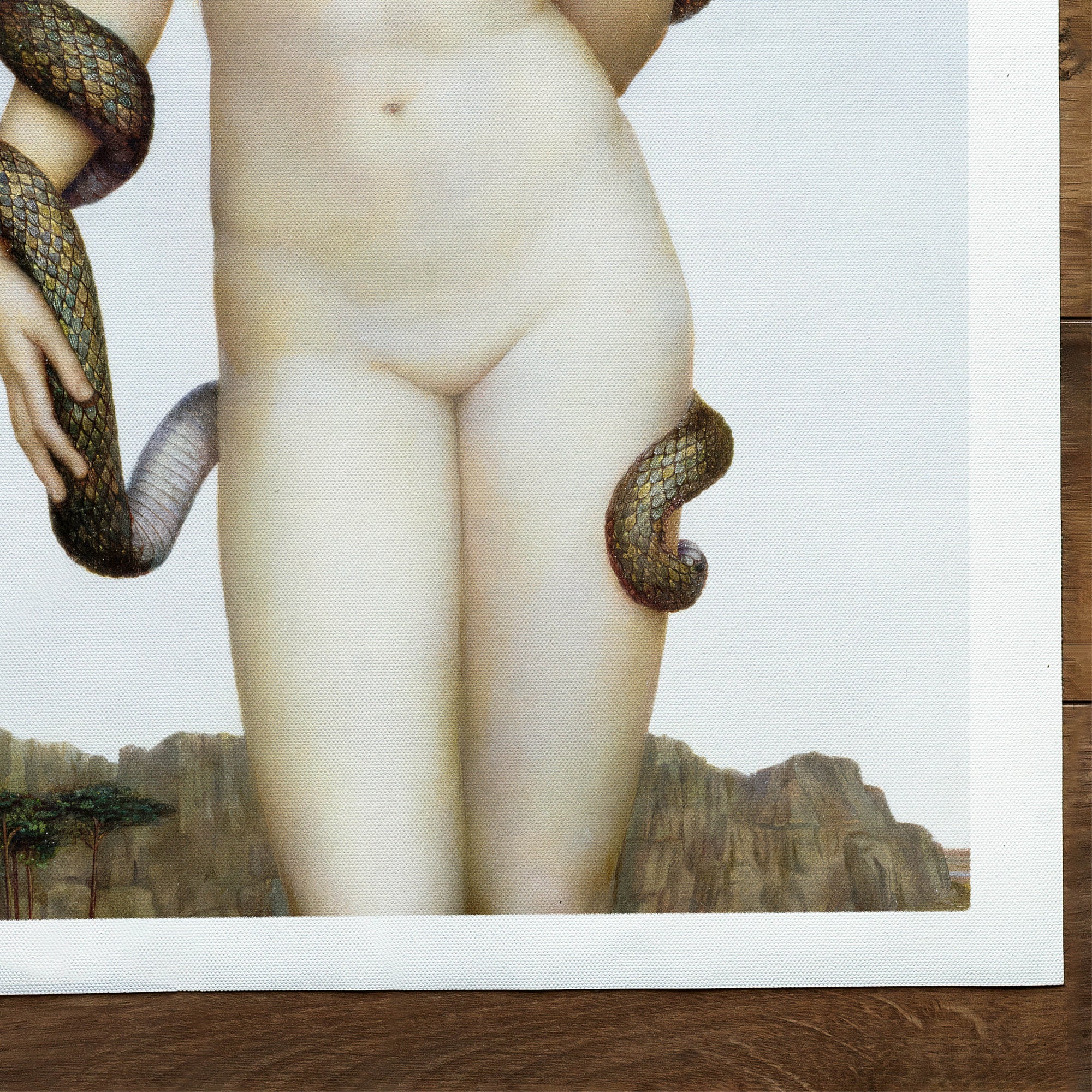 Cadmus und Harmonie (1855-1919)
