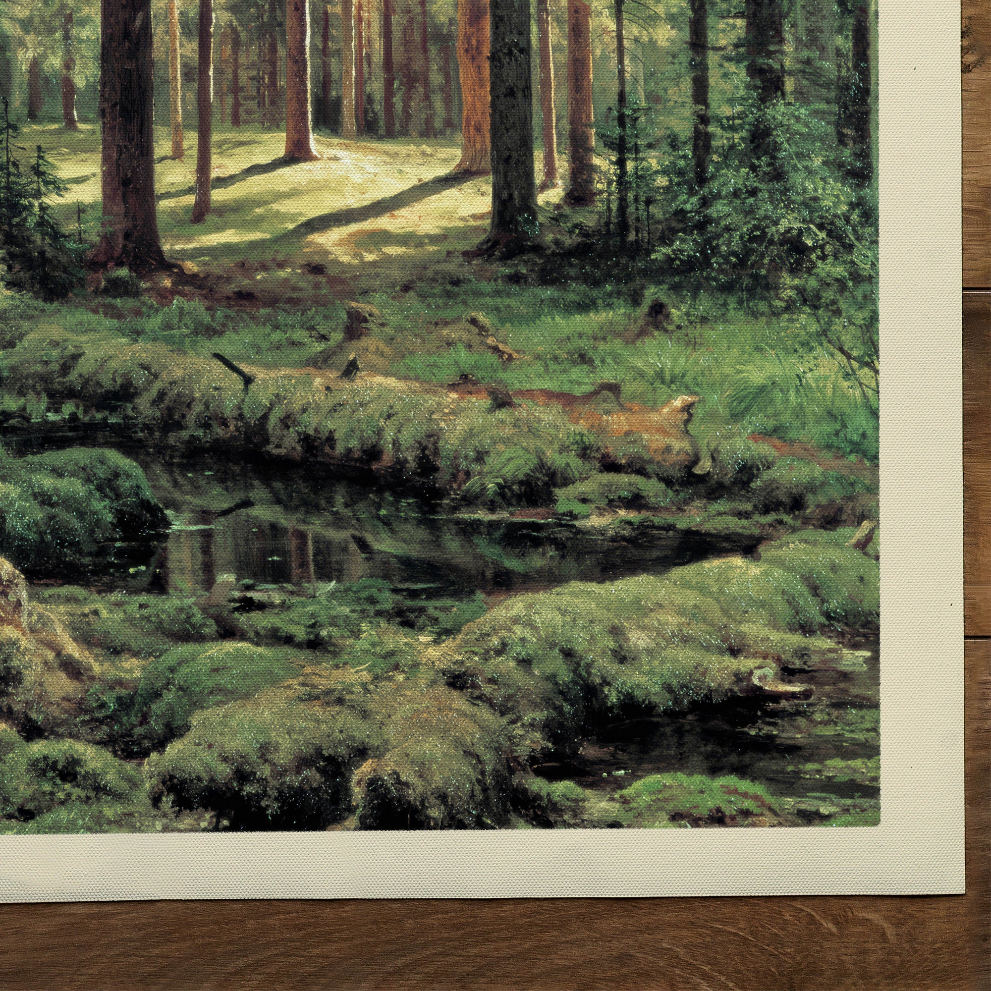 Coniferous Forest, Sunny Day  (1895)