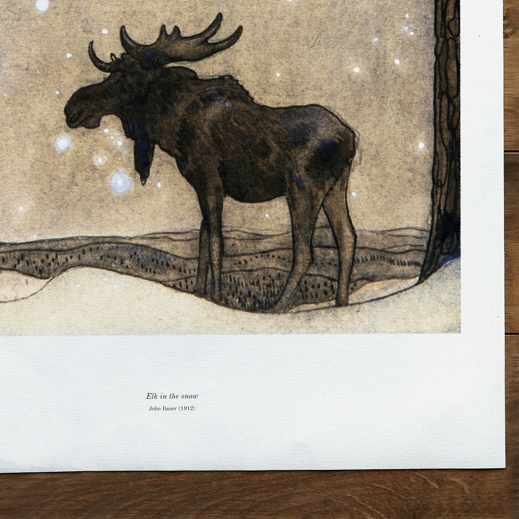 Elk in the snow (1912)