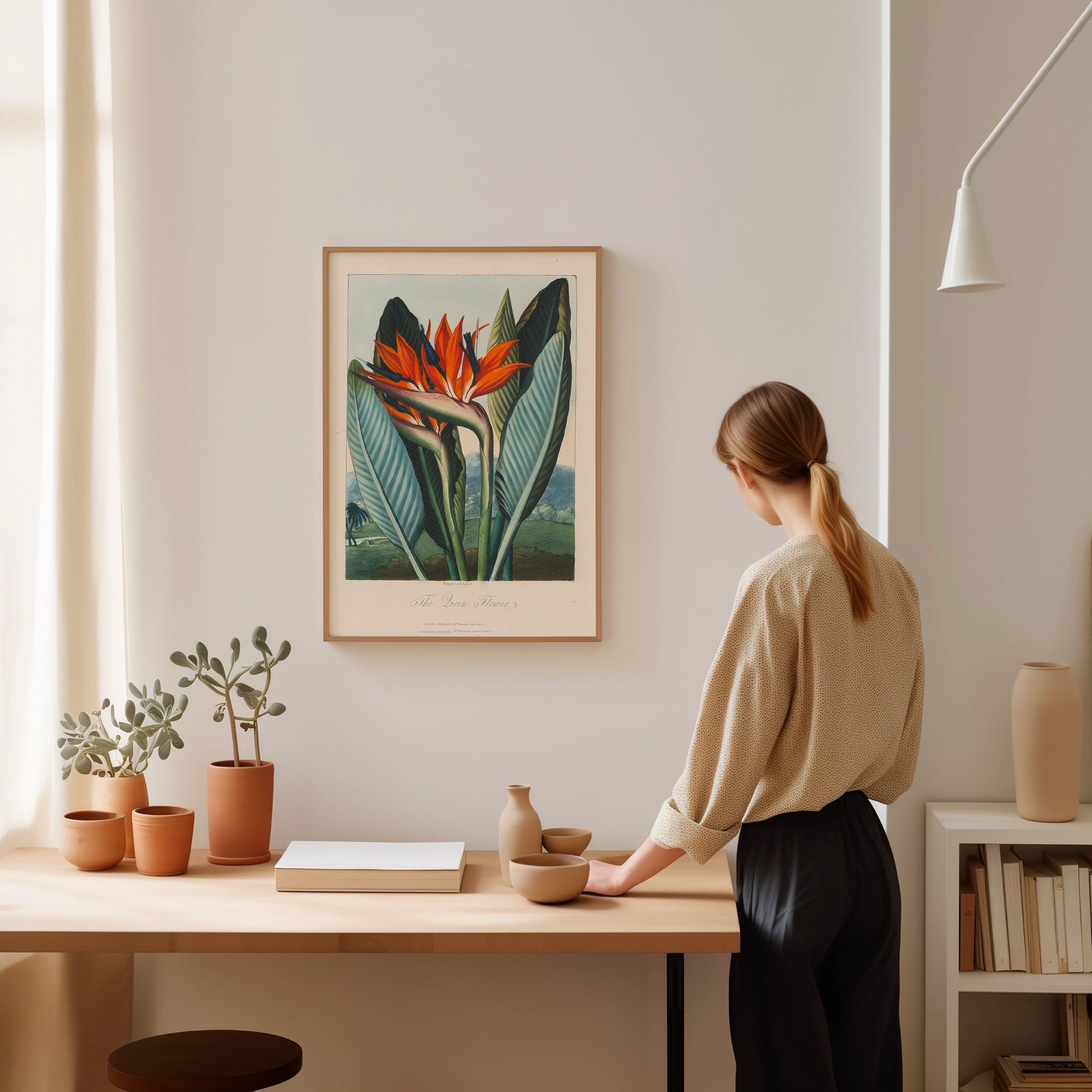 Bird Of Paradise Queen Flower (1812)