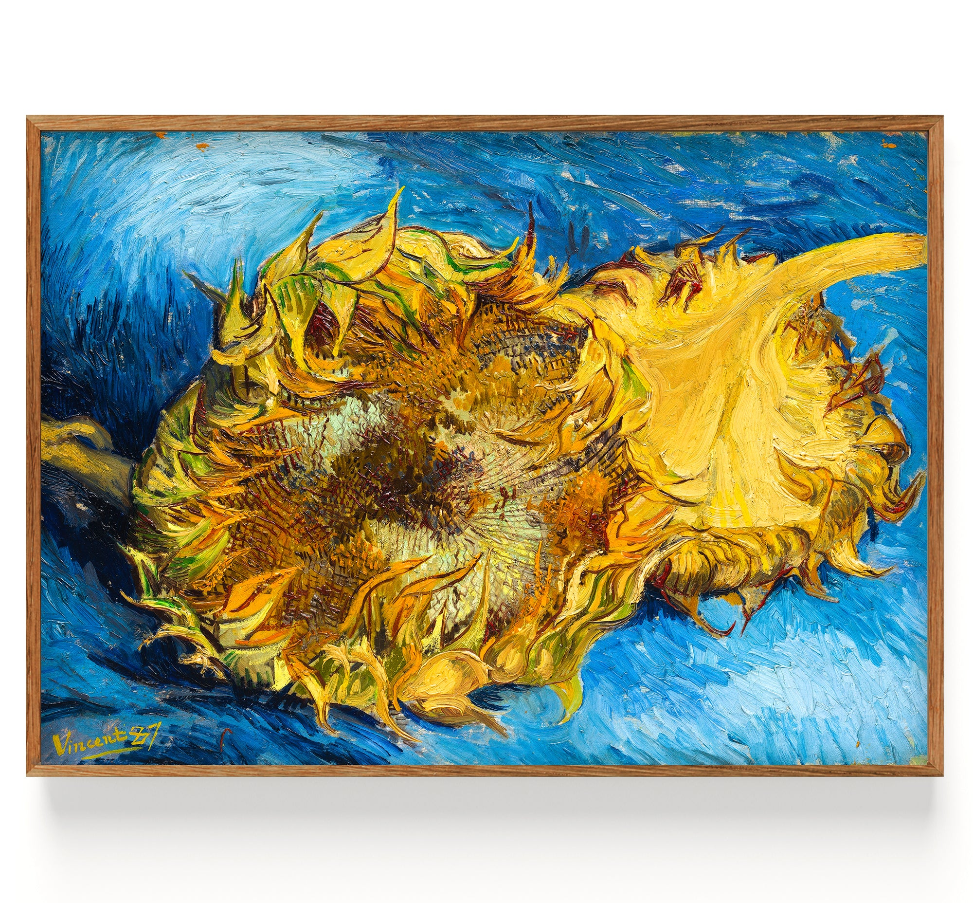 Sonnenblume (1887)