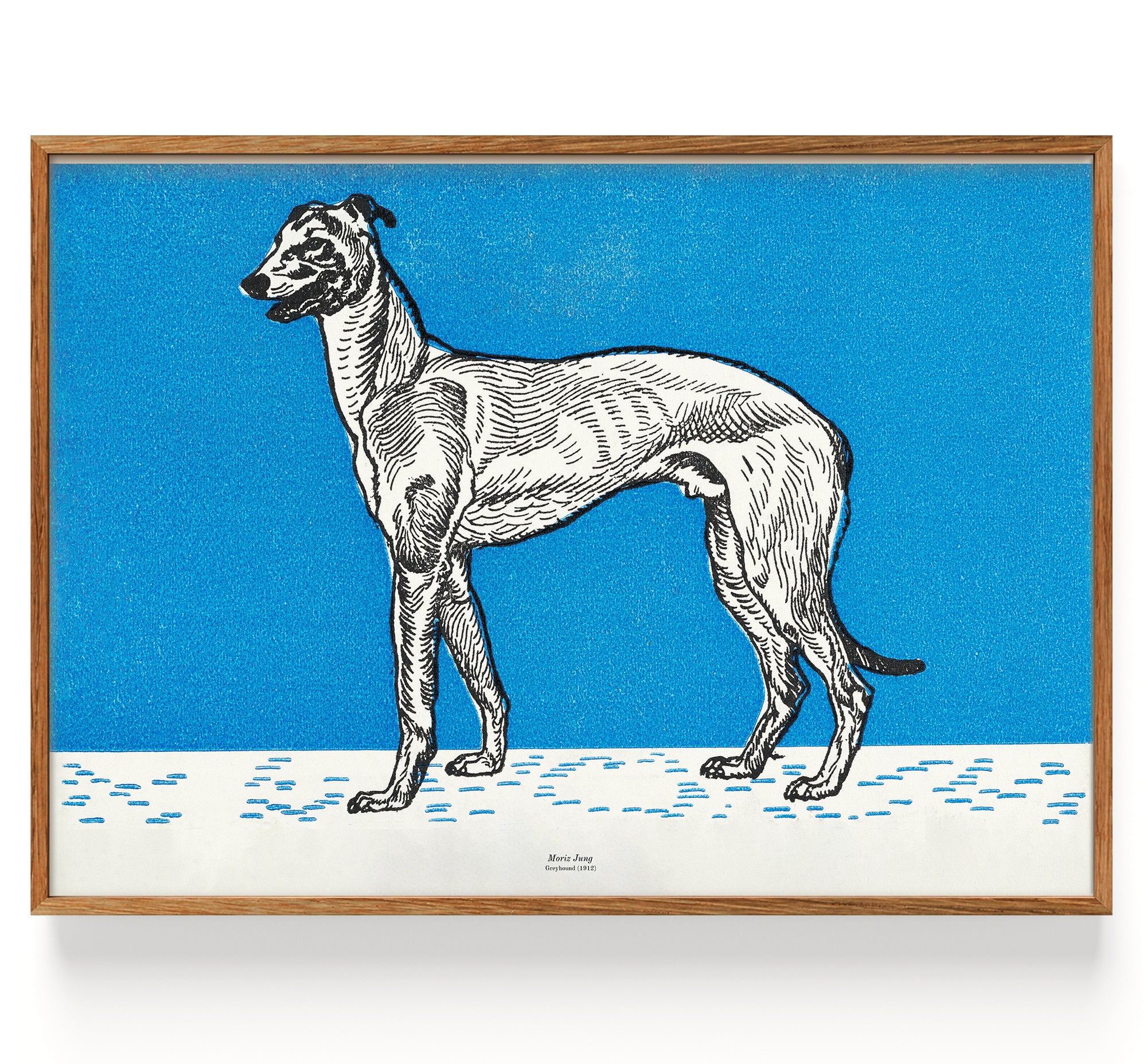 Greyhound Fauna (1912)