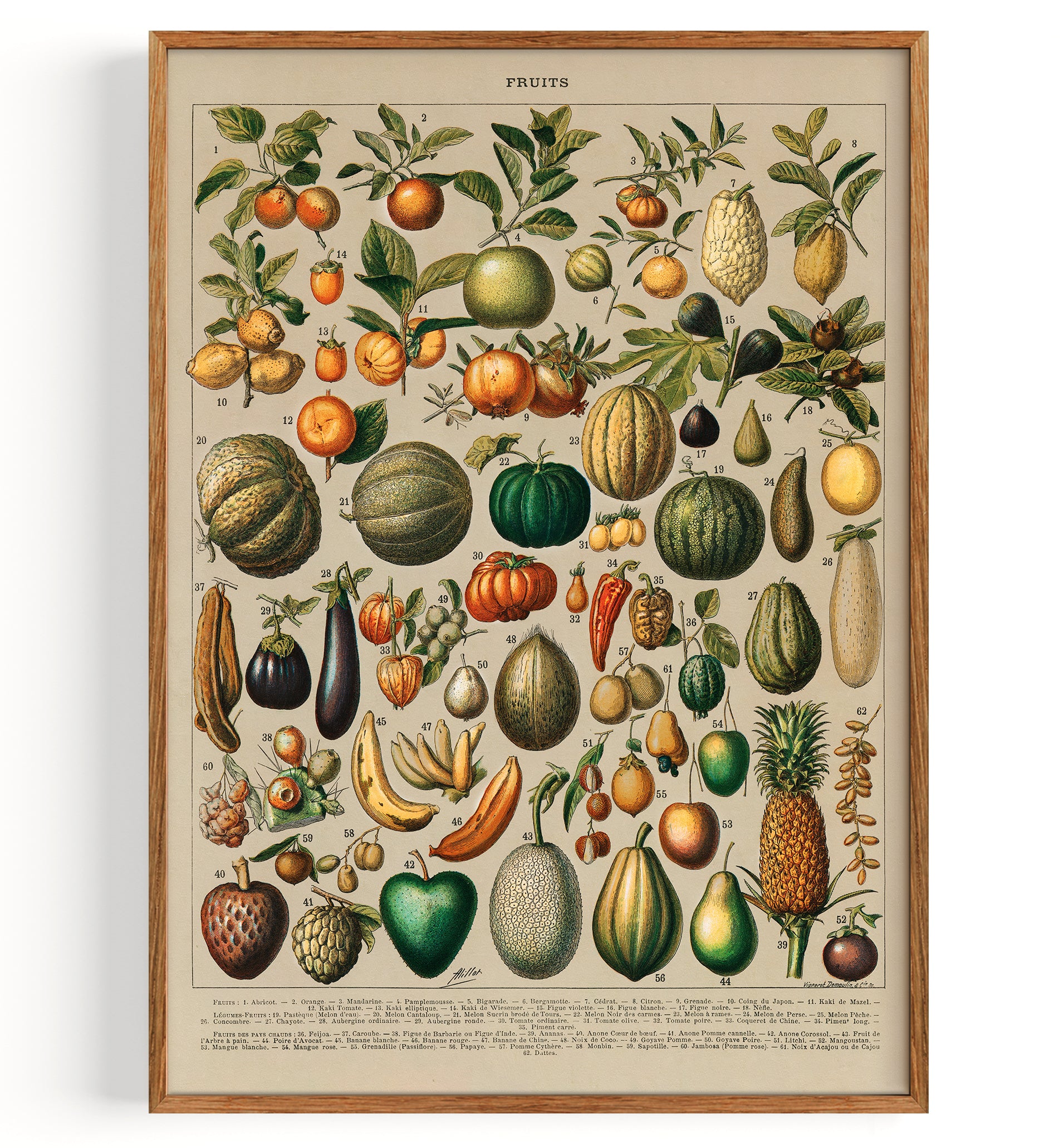 Nouveau Larousse Illustre (1898)