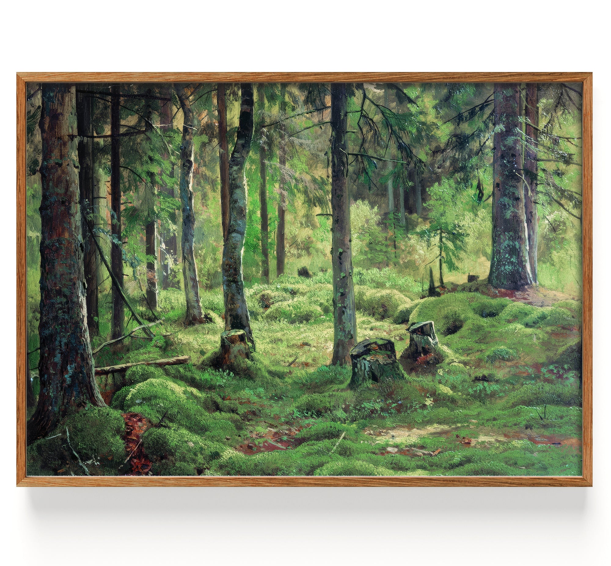Totholz (1893)