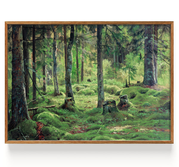 Totholz (1893)
