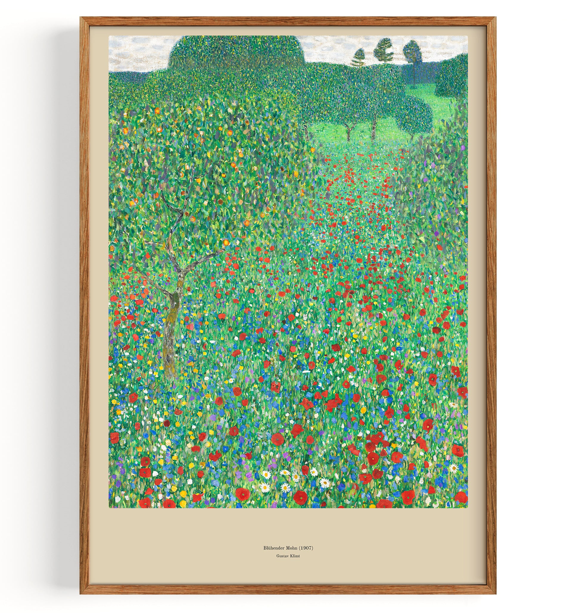 Bluehender Mohn (1907)