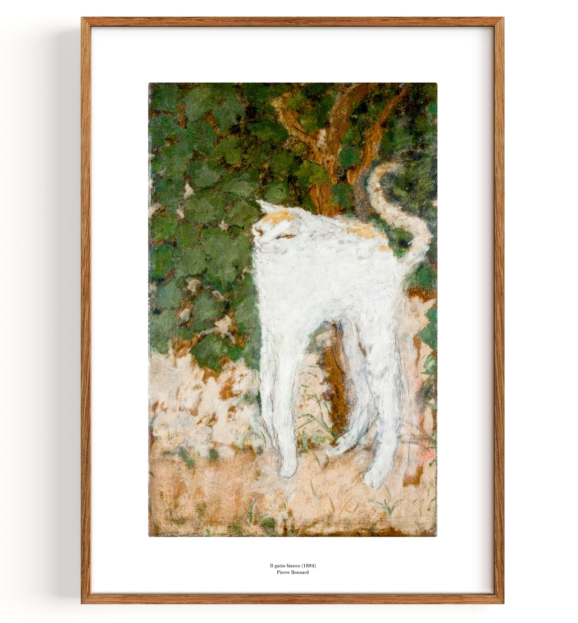 Il gatto bianco (1894)