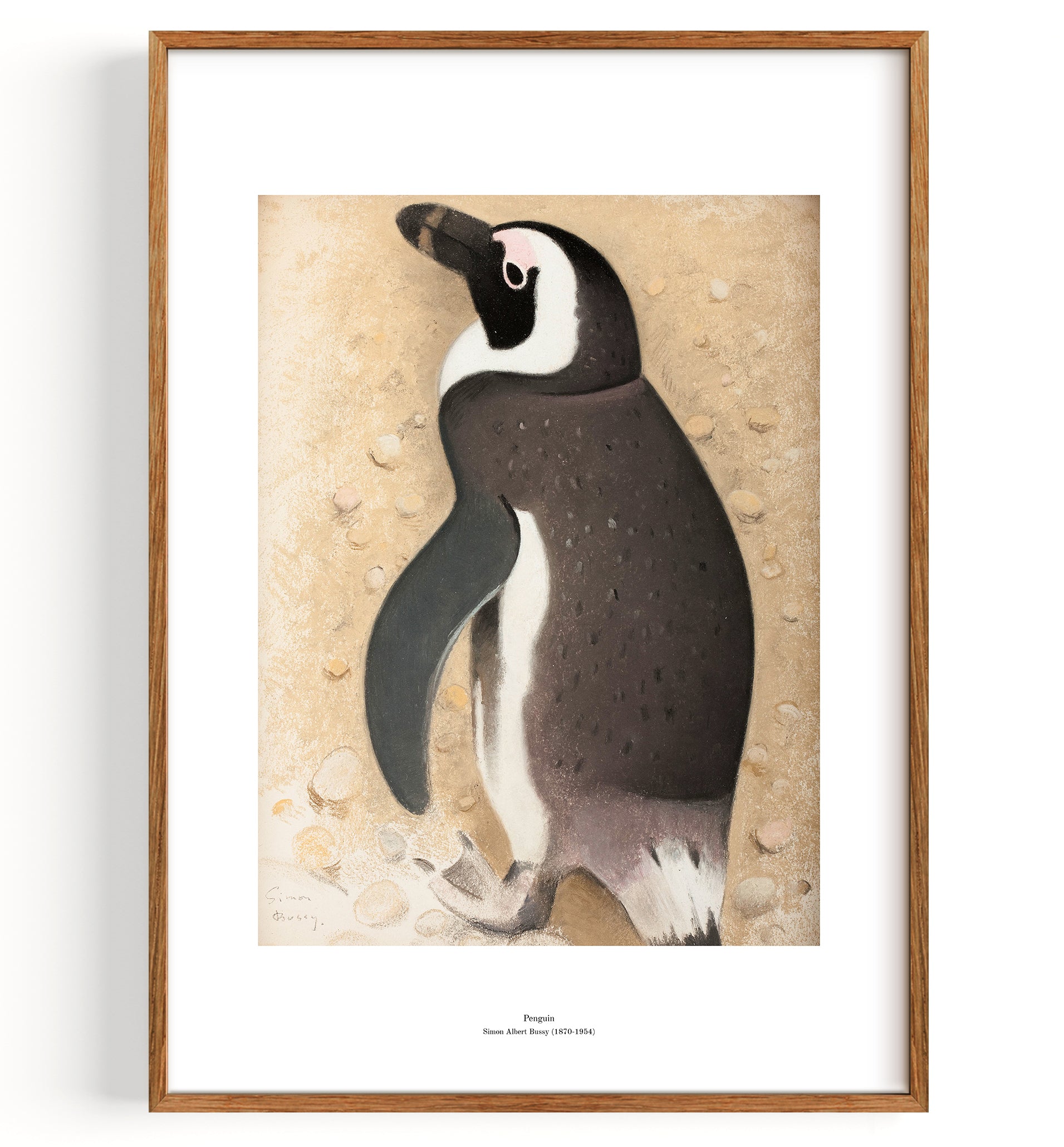 Pinguin (1869-1954)