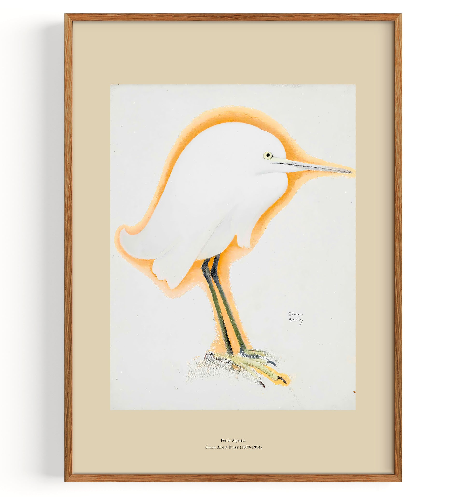 Petite Aigrette (1869 1954)