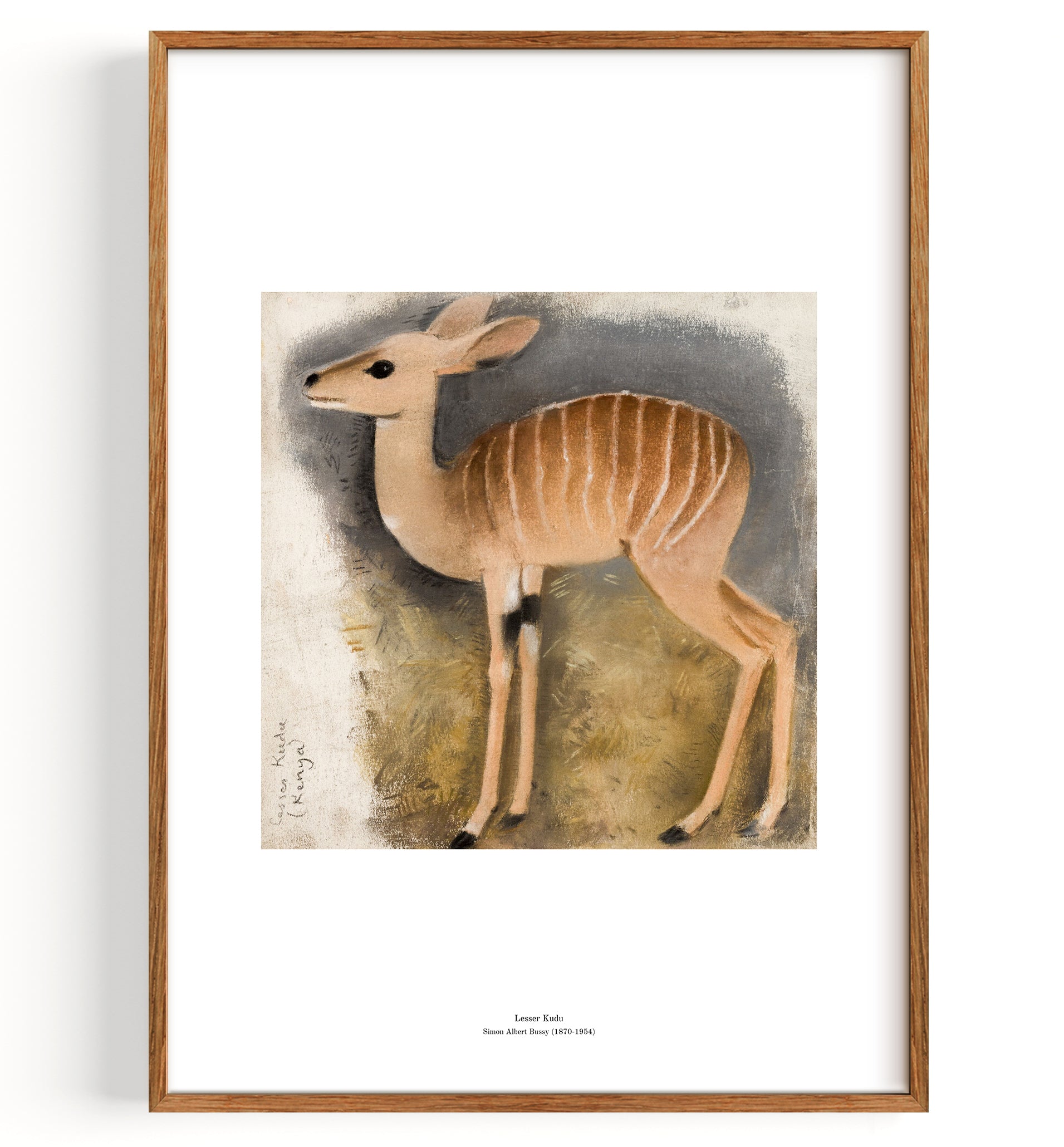 Lesser Kudu (1870 1954)