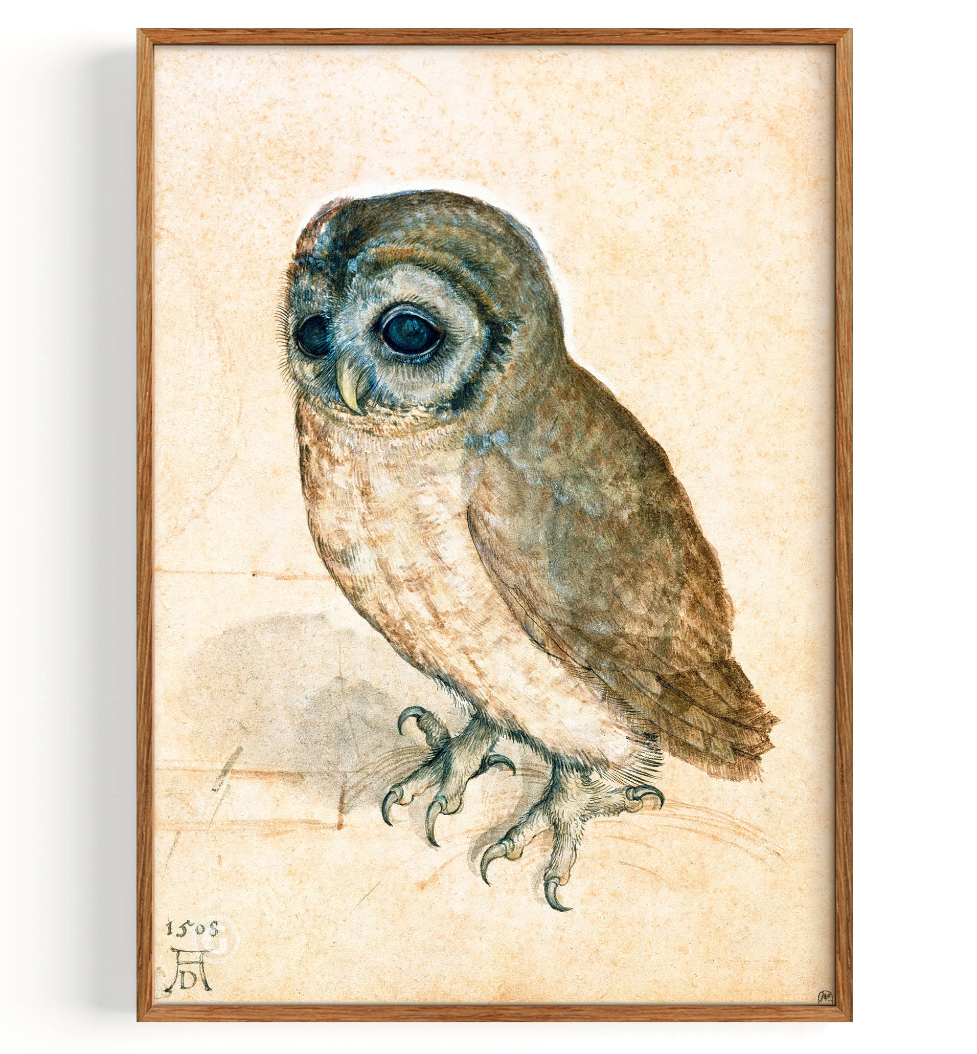 Kleine Eule (1471-1528)