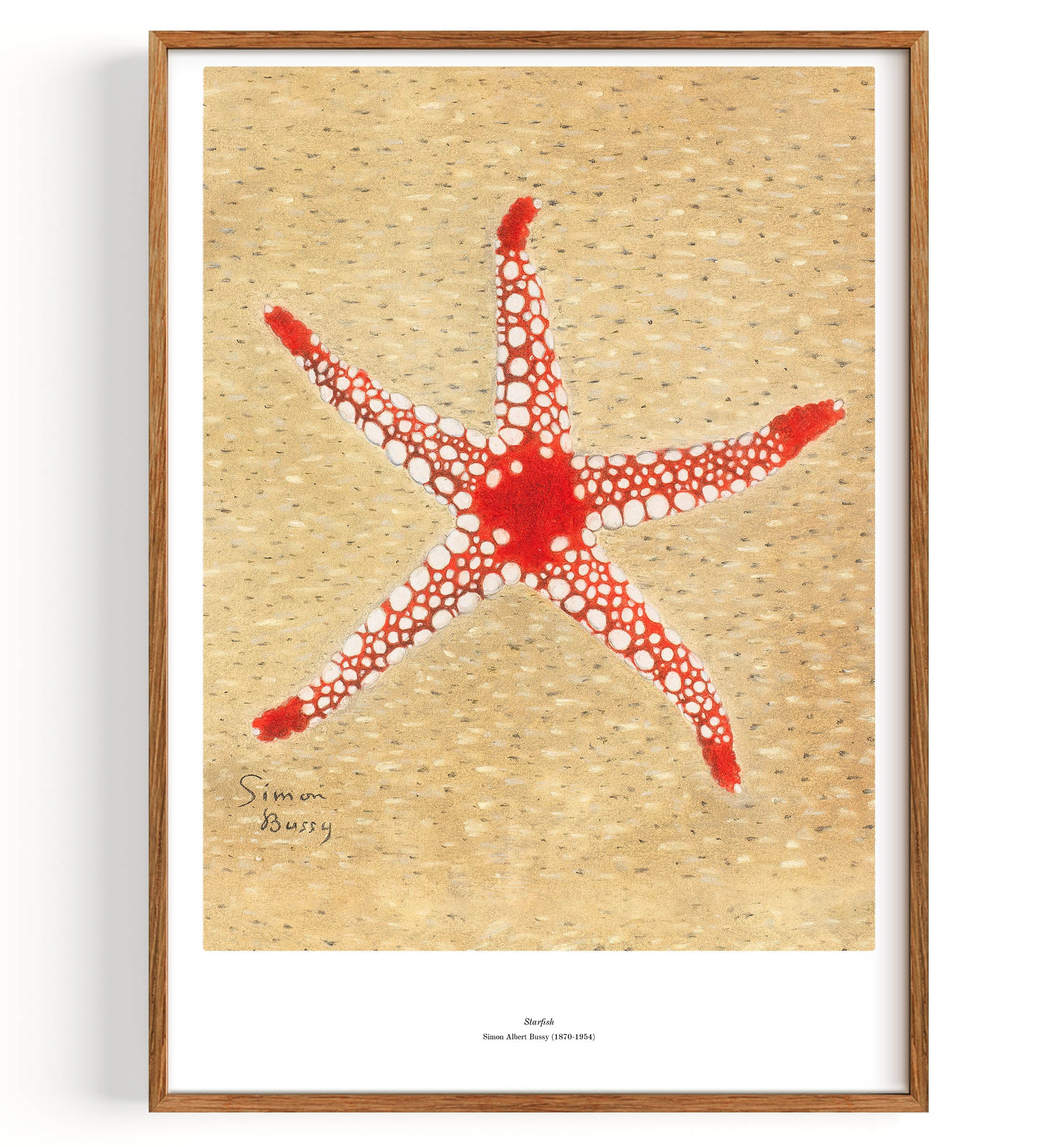Starfish (1870-1954)