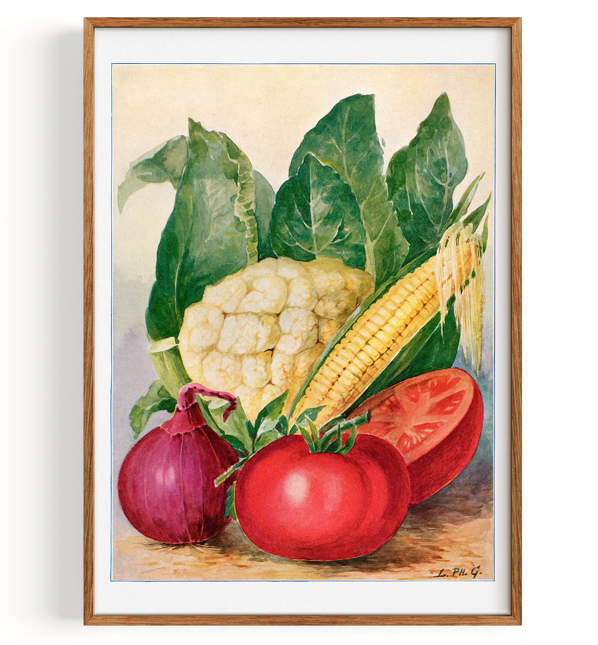 Vegetable watercolor illustration (1915)