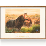 Hippopotamus II (1861)