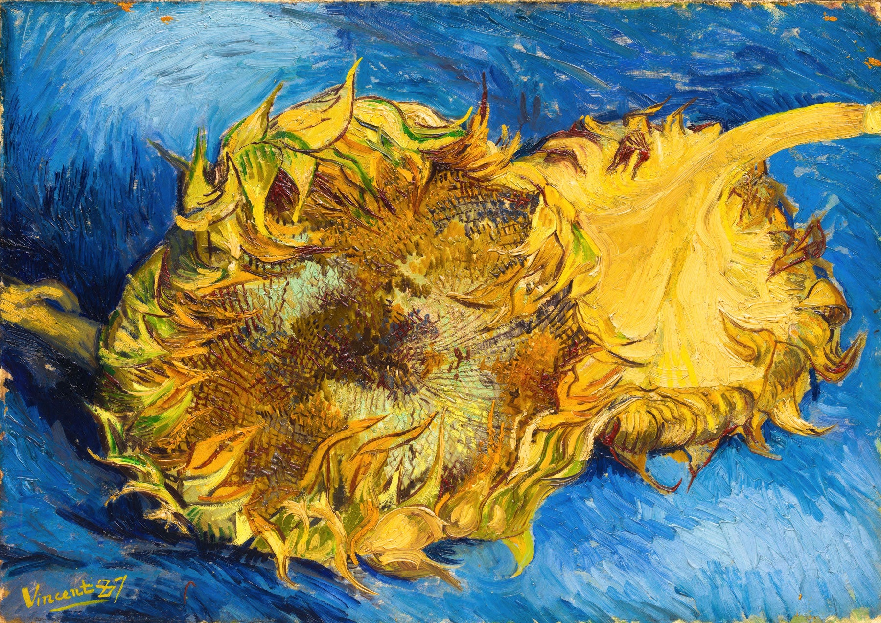 Sonnenblume (1887)