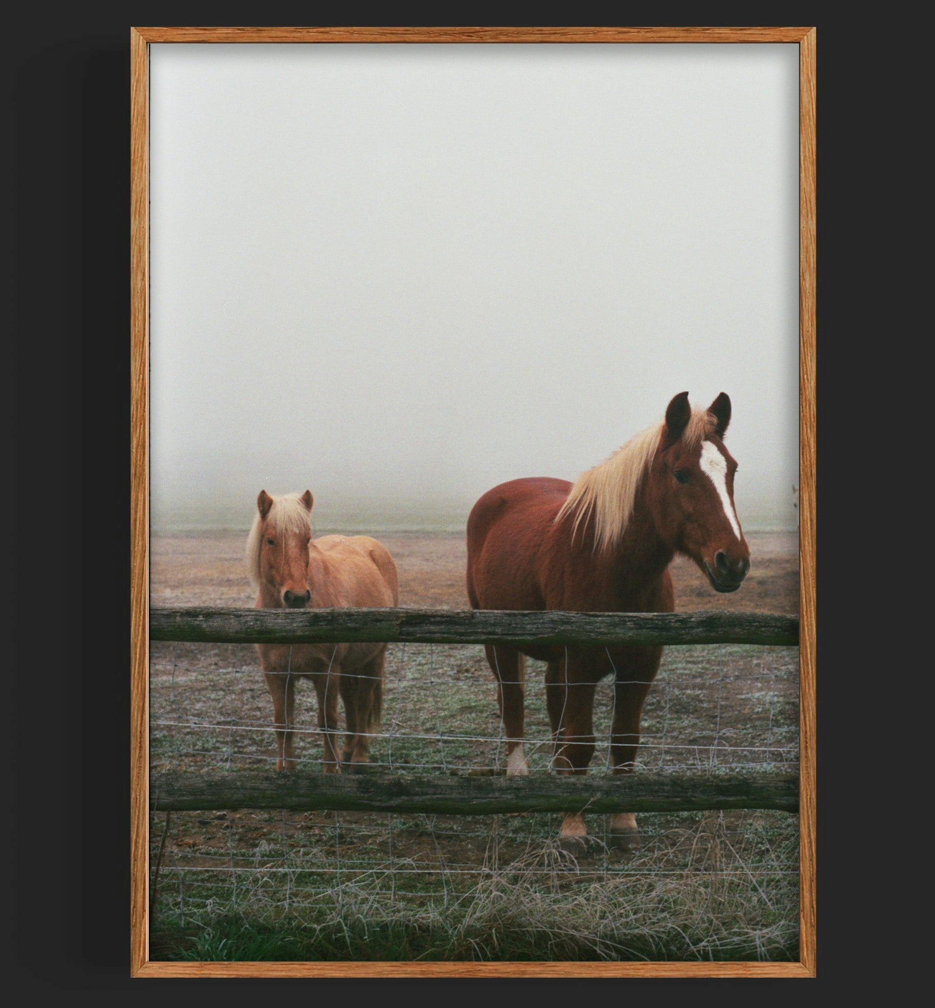 Year of the Fire Horse
